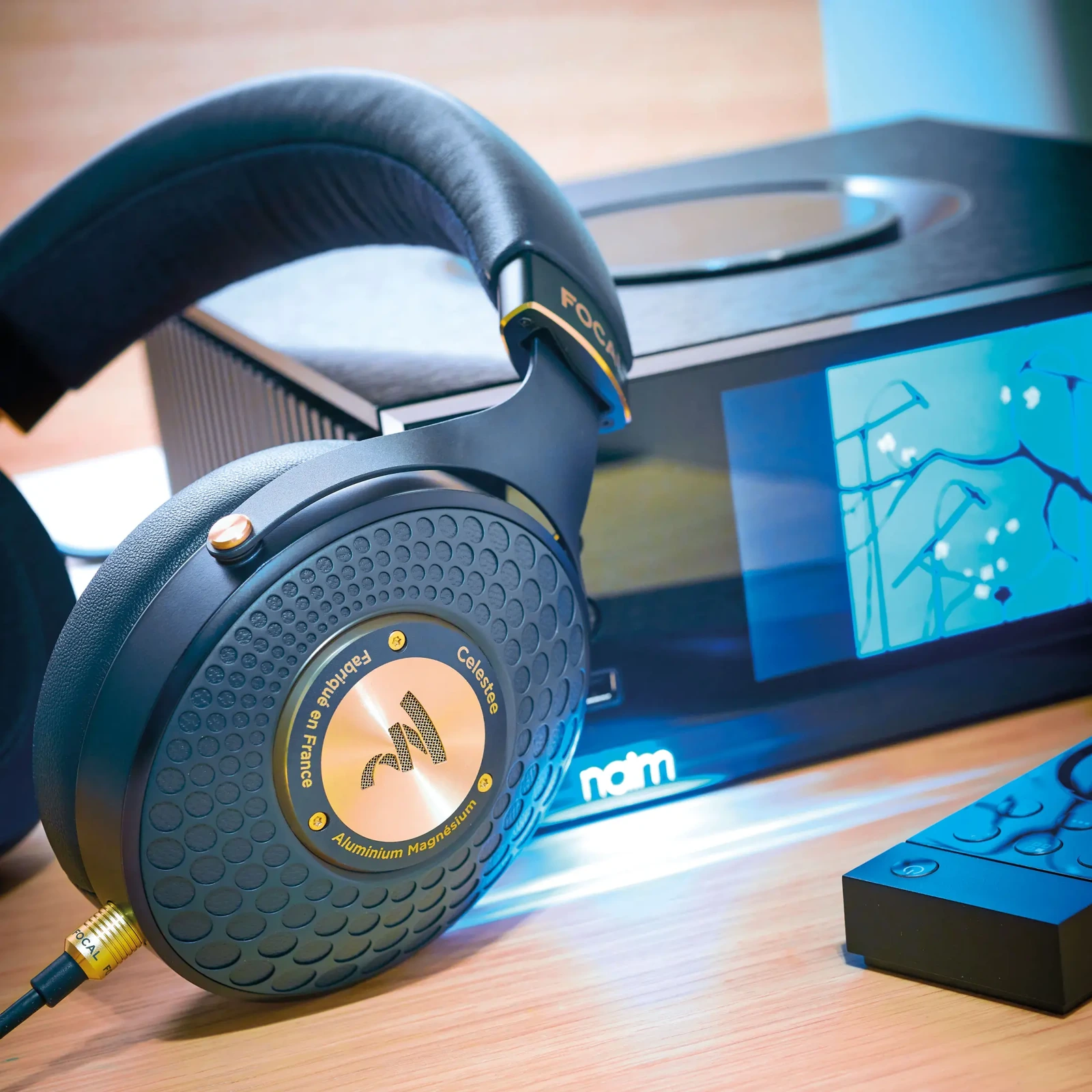 Focal Celestee — nosso portfólio
